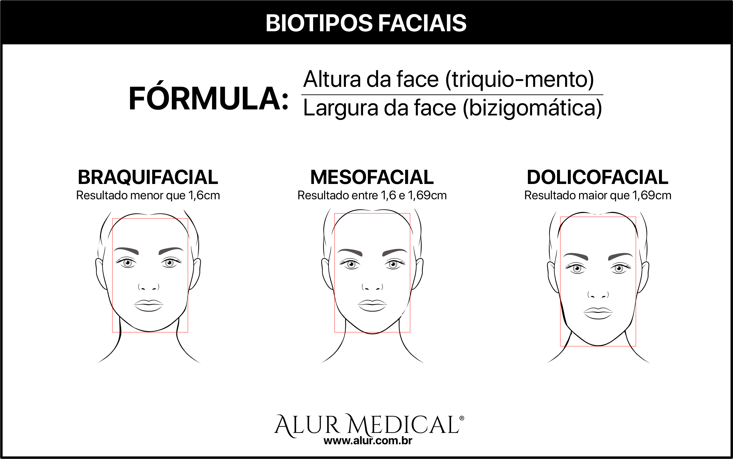 biotipos-faciais (1) biotipos-faciais (1)